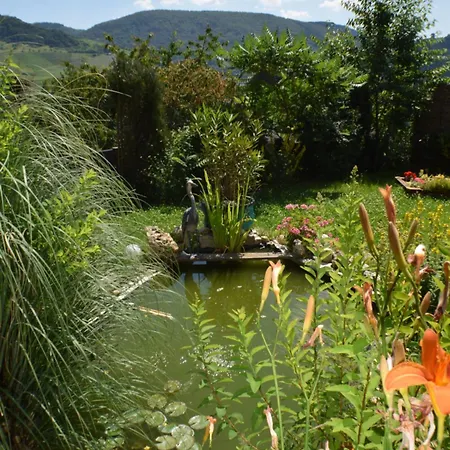 Panoramablick * Bernkastel-Kues