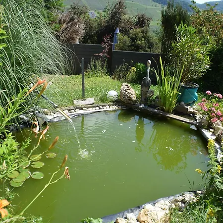 Panoramablick Daire *